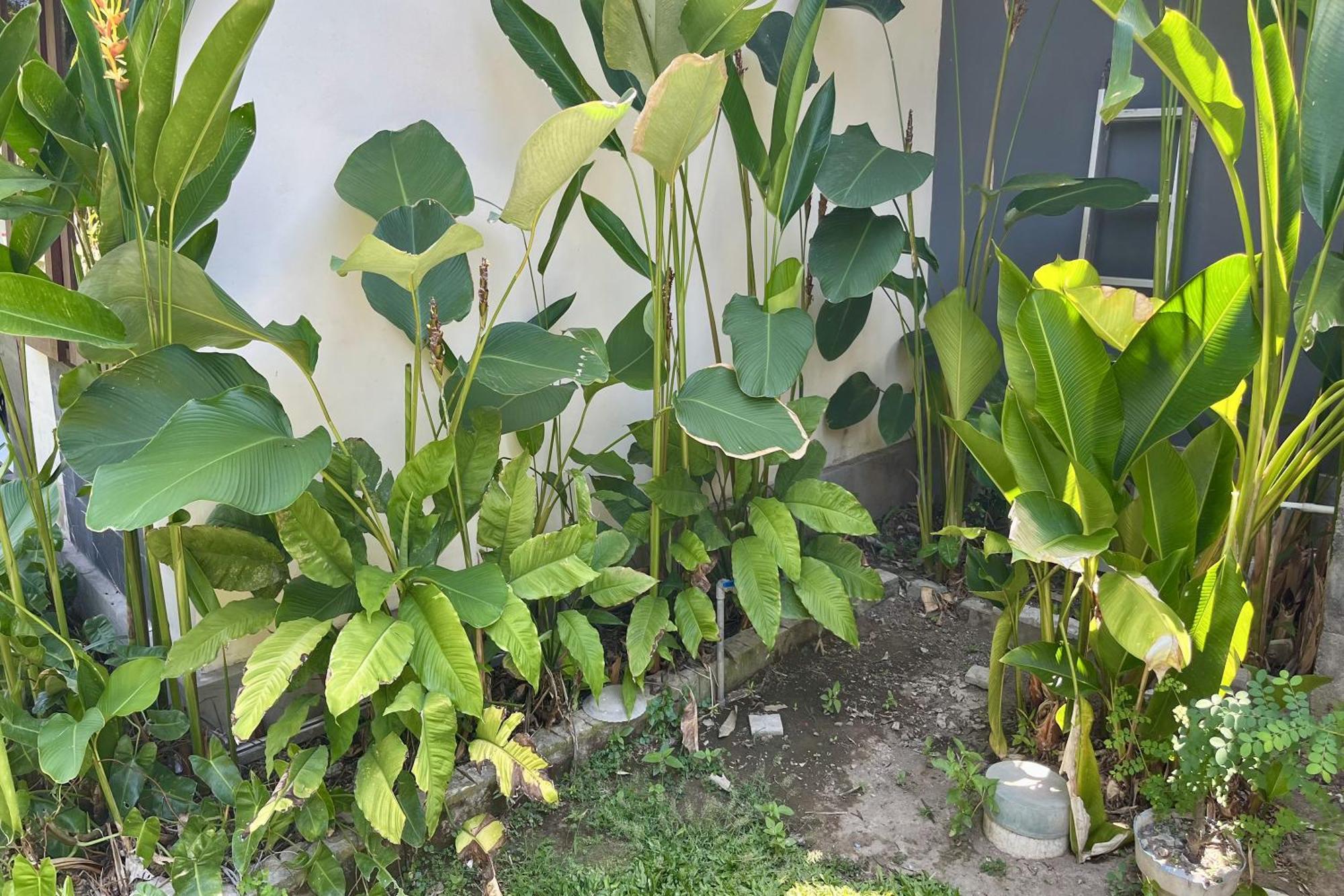 Mai Guest House Sanur ภายนอก รูปภาพ